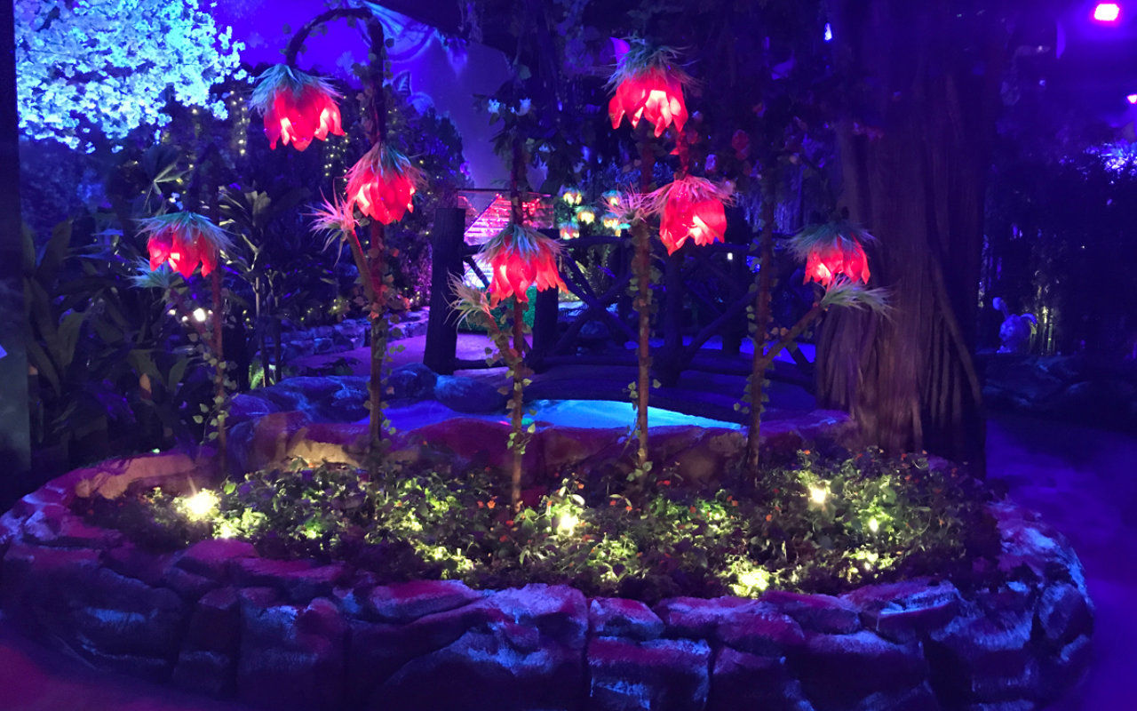 luminous flowers in an enchanted garden at BFLY in laval