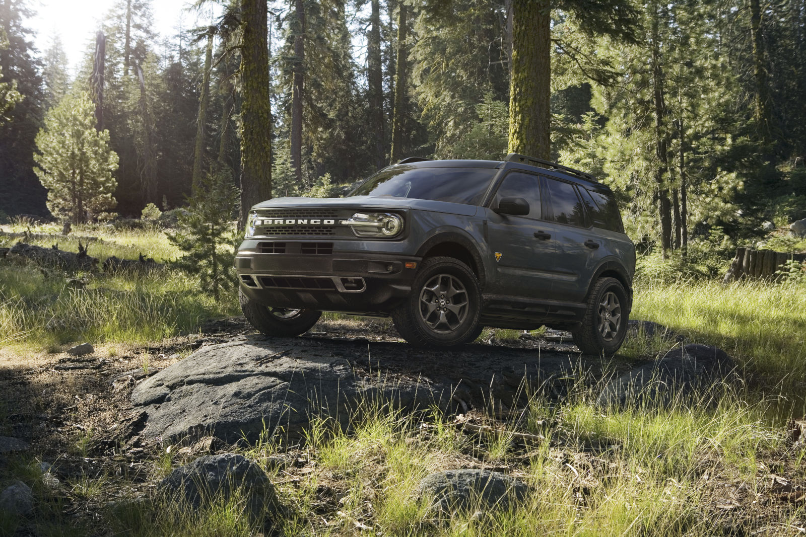 2024 Ford Bronco Sport in the forest