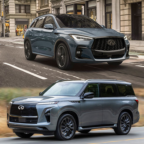 Test Drive The QX80 or QX50 Today