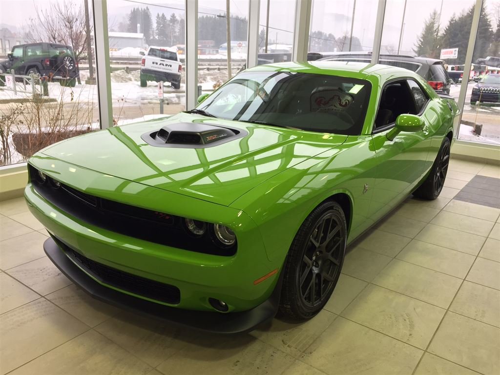 Challenger Shaker For Sale >> Used 2017 Dodge Challenger Scatpack Shaker R T 392 Go Green To Sale Challenger Shaker For Sale >> Used 2017 Dodge Challenger Scatpack Shaker R T 392 Go Green To Sale