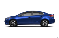 Forte 2017
