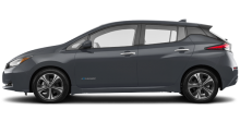 2019 Leaf