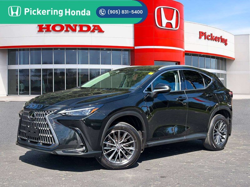 2025 Lexus NX