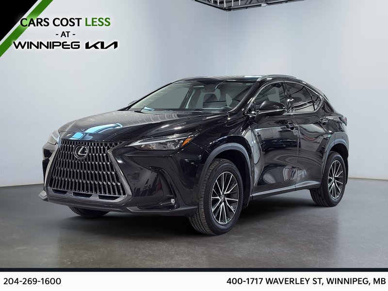 2024 Lexus NX
