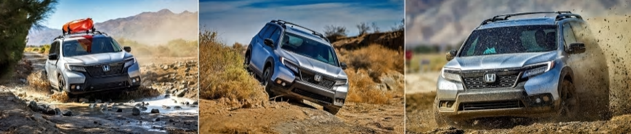 2019 Honda passport - 2019 Honda passport 