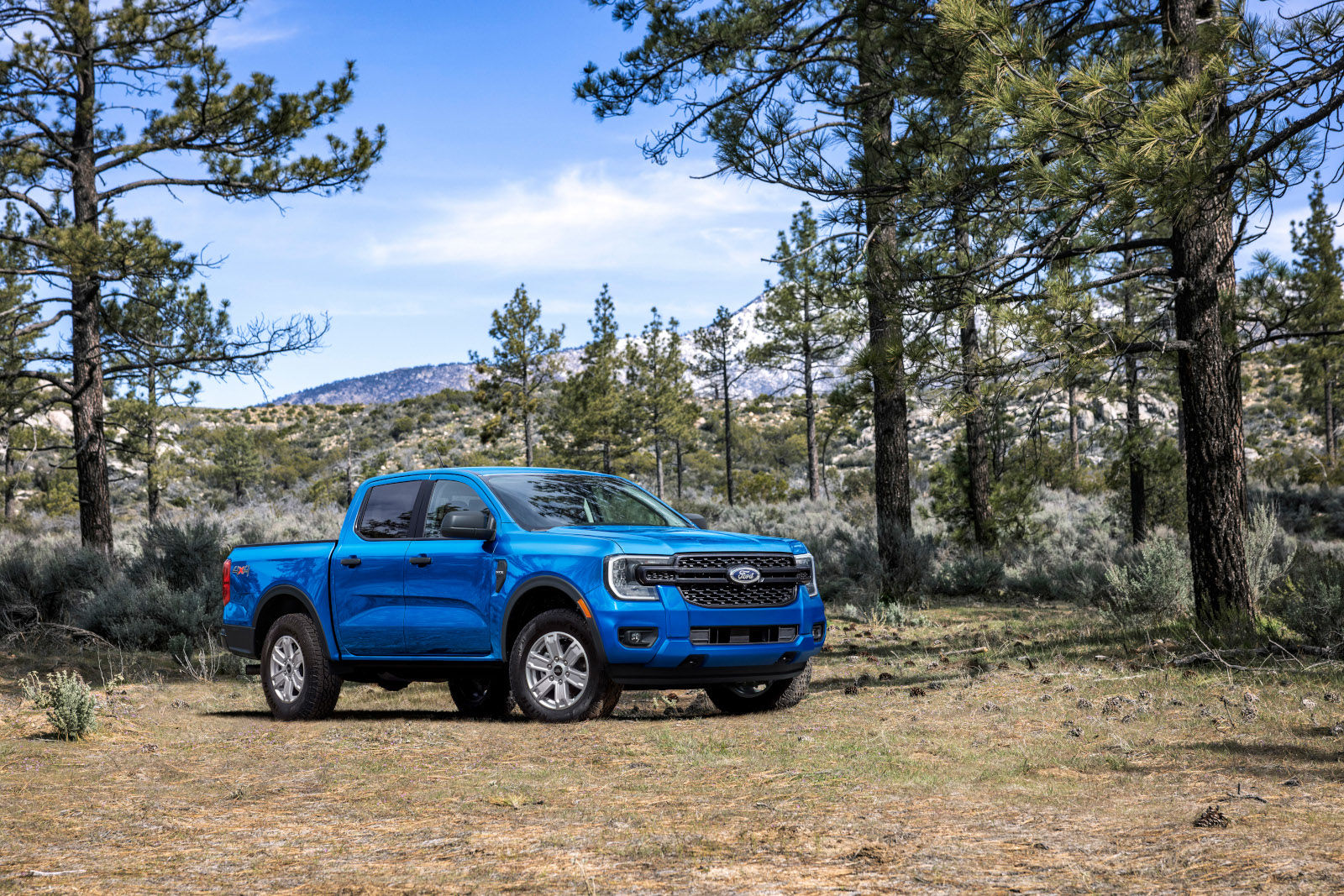 2025 Ford Truck in the Forest