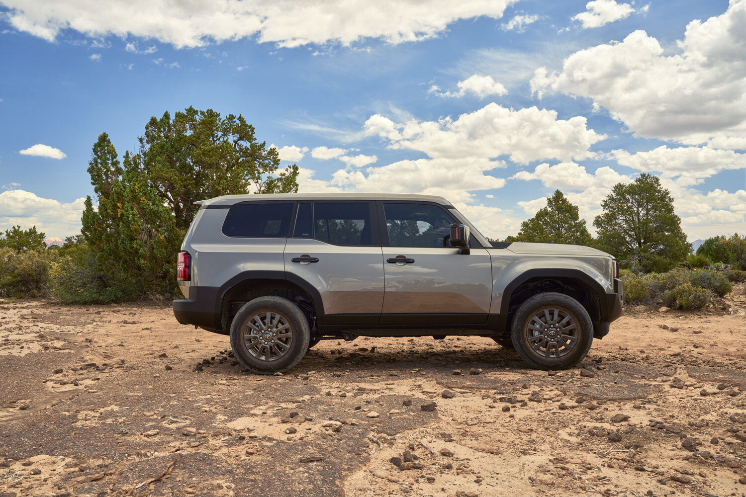 2025 TOYOTA Land Cruiser