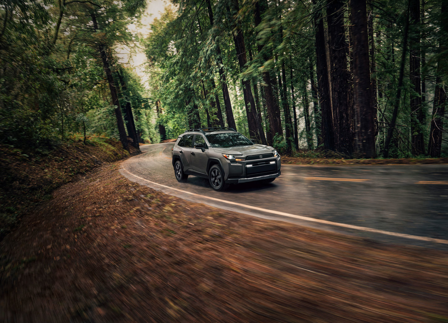 2026 Toyota RAV4 hybrid Woodland
