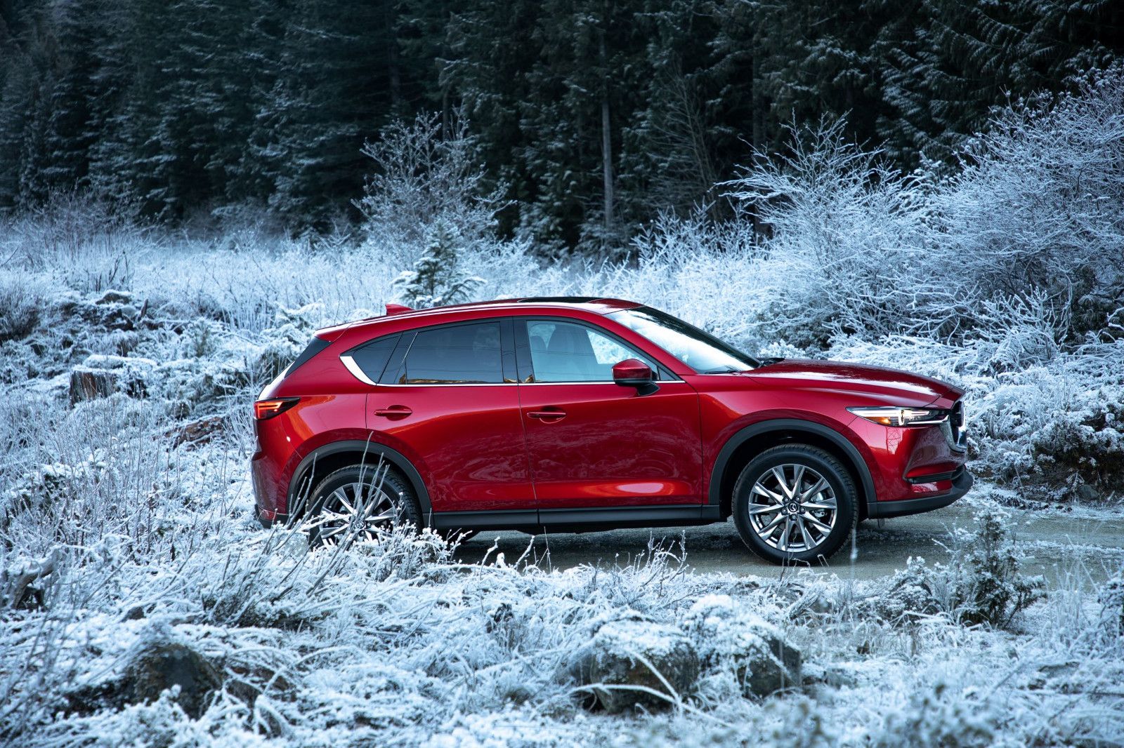2026 Mazda CX-5 - a red 2026 Mazda CX-5 parked in a snowy winter forest - AutoPark Barrie - Accessible car dealership in Barrie, Ontario