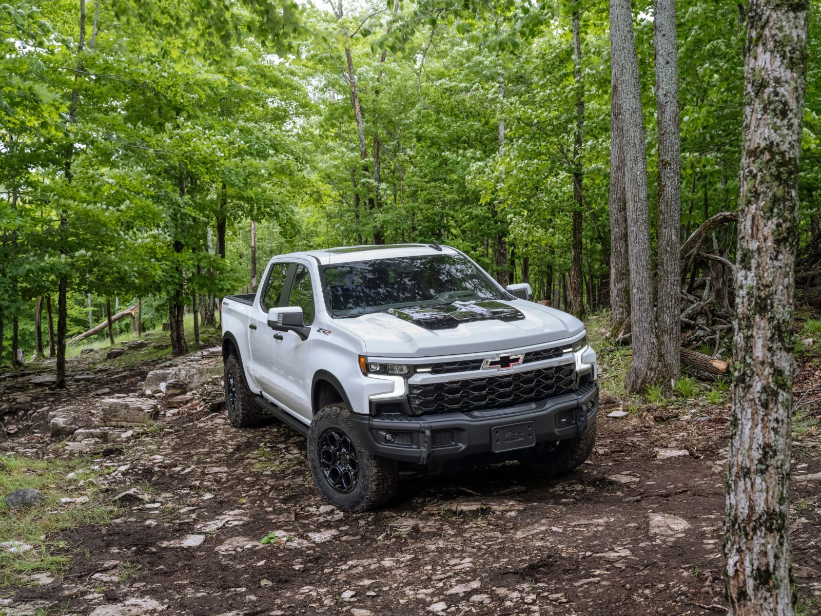 2026 Chevrolet Silverado - a white 2026 Chevrolet Silverado parked on a rocky forest trail - Applewood Chevrolet, Buick, GMC - Chevrolet car dealership in Mississauga, Ontario