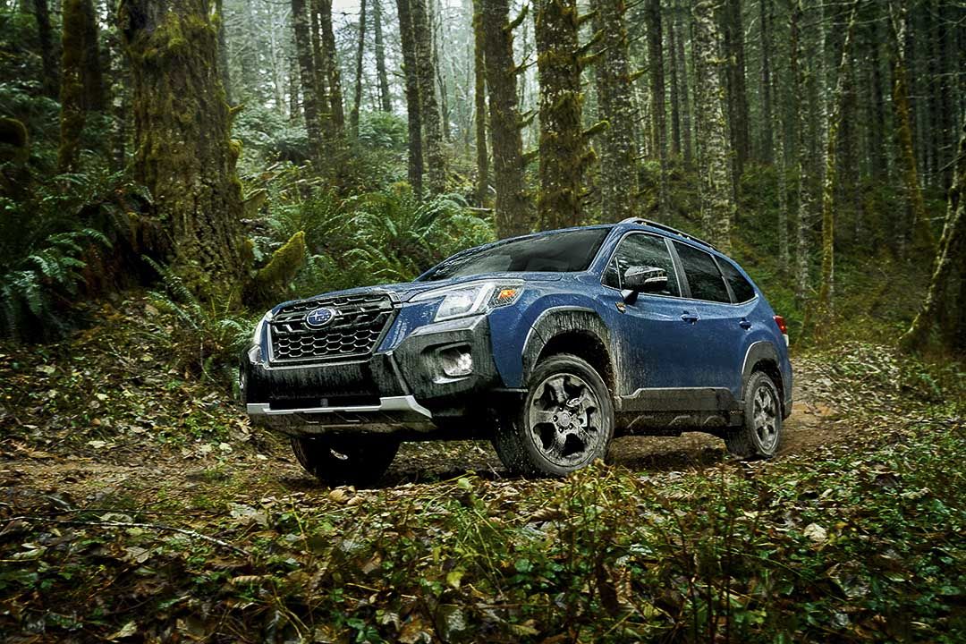 vue latérale avant du Subaru Forester Wilderness 2022 sur un sentier forestier