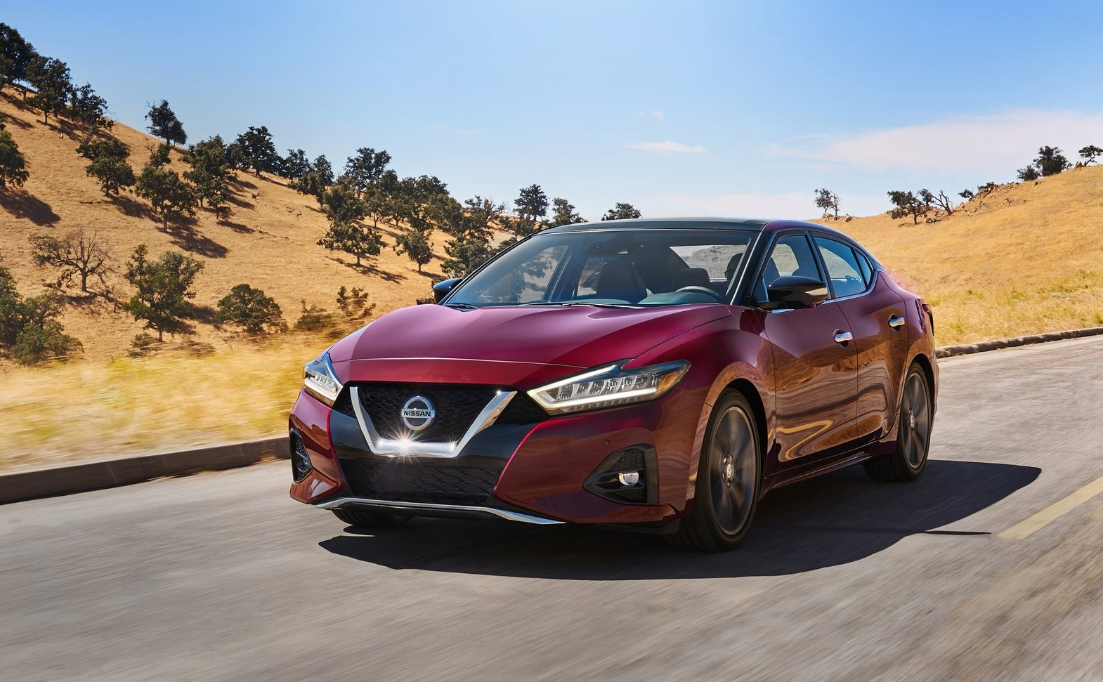 maxima and pathfinder - 2019 Nissan Maxima 