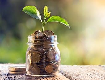 money in a jar with growing plant