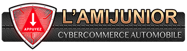 L'Ami Junior Cybercommerce