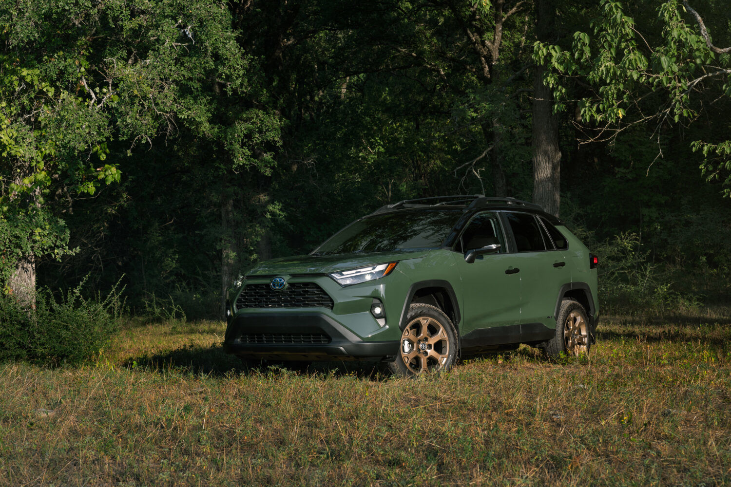 4 raisons de jeter un coup d'oeil au Toyota RAV4 hybride Woodland Edition 2024