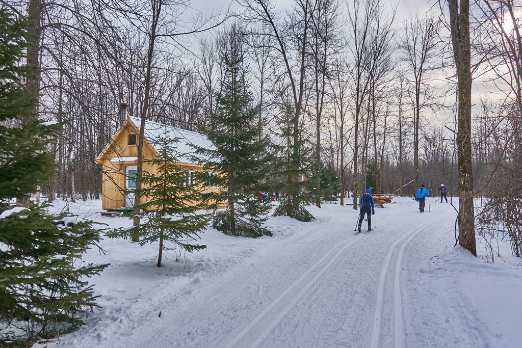 Cross-Country Skiing at Les coureurs des boisés Club