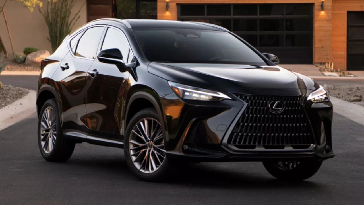 Lexus NX luxury SUV parked in a scenic outdoor setting