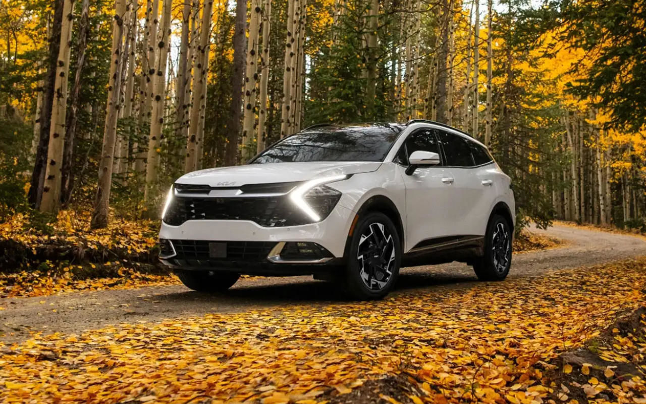 vue latérale avant d'une Kia Sportage 2025 sur une route de forêt en automne