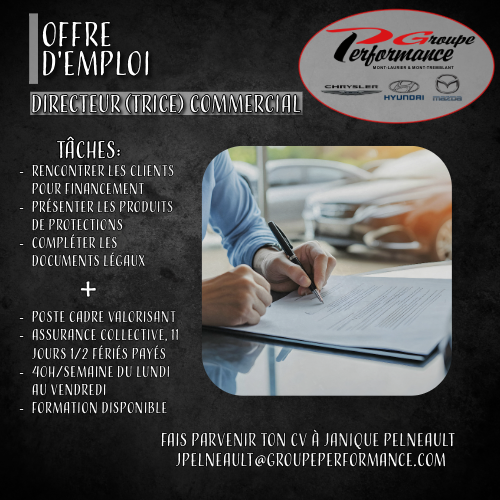 Directeur(trice) commercial