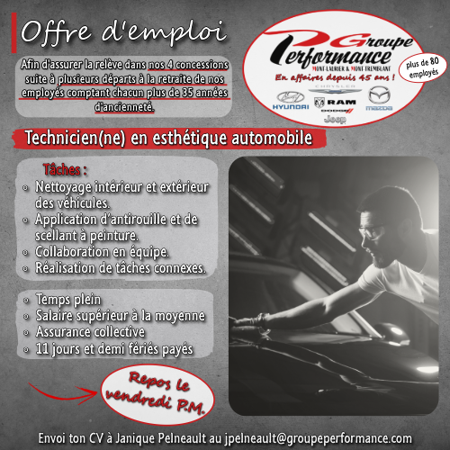 Technicien(ne) en Esthétique Automobile