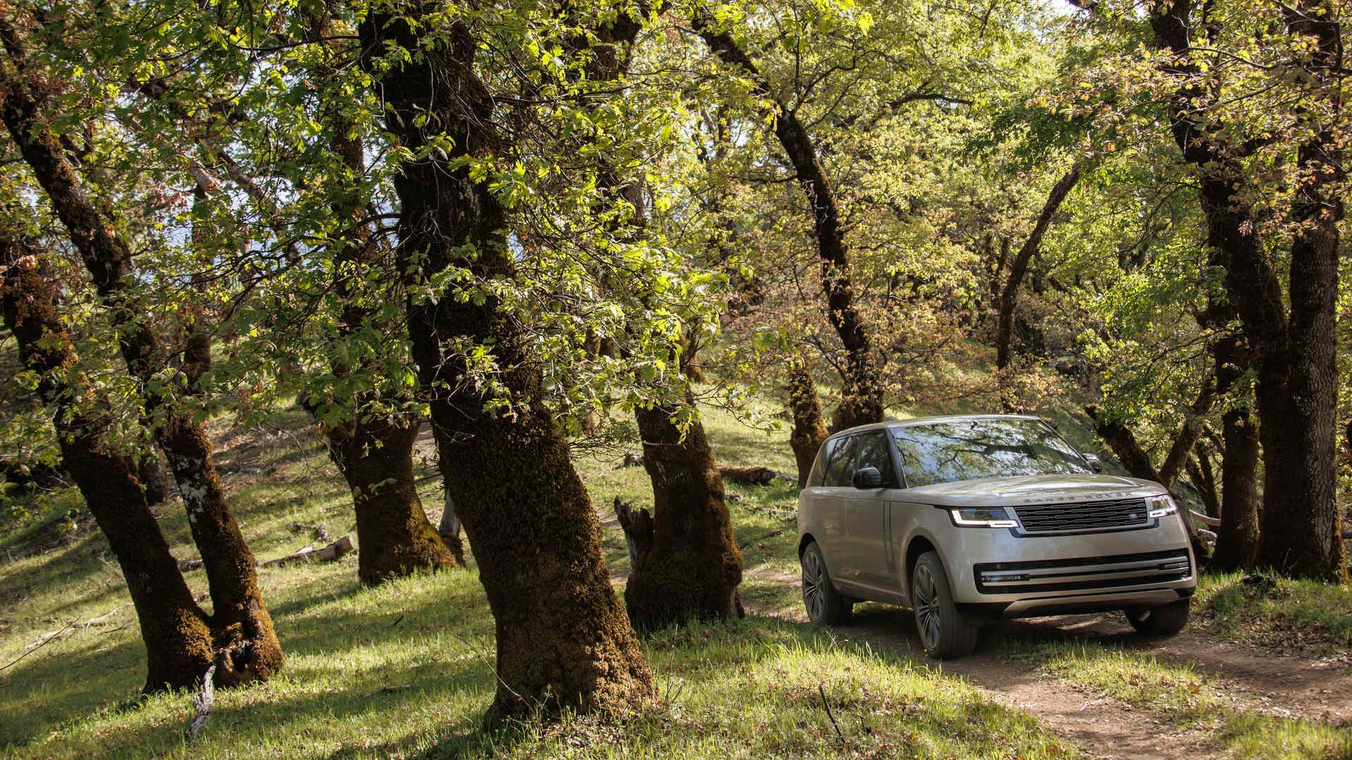 Mild Hybrid, Plug-In or EV? Choosing the Right Powertrain