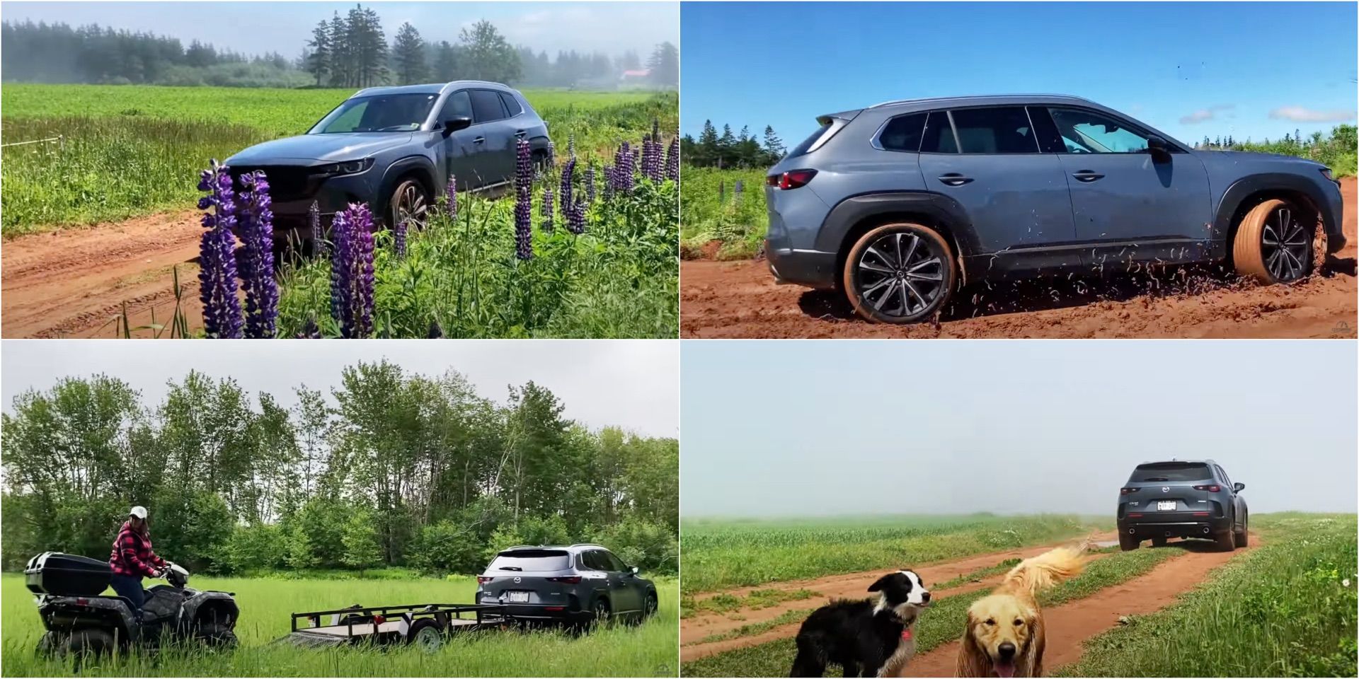 Video: 2023 Mazda CX-50 On PEI's Dirt Roads With Centennial's Own Kelly Dowling