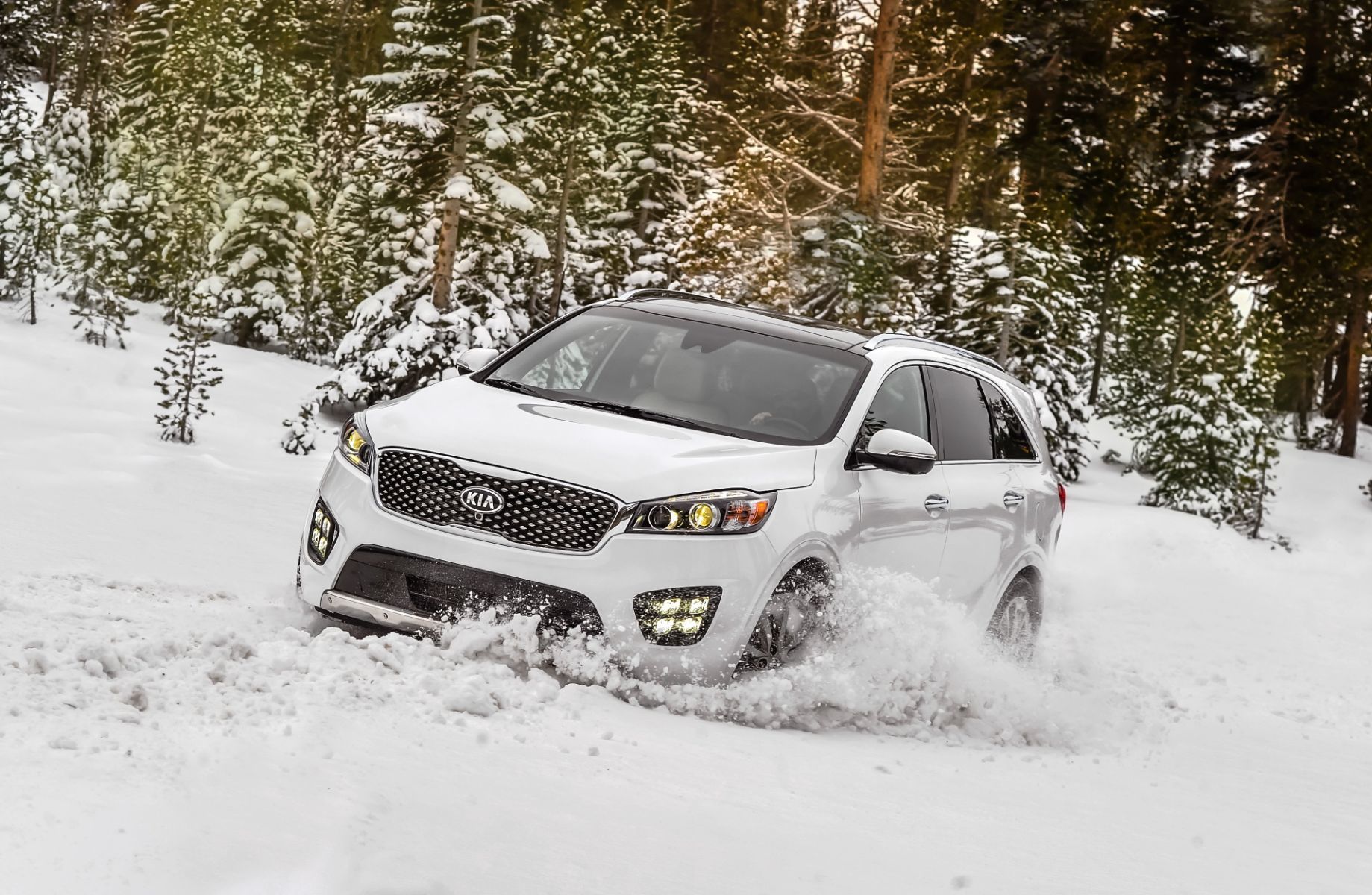 Kia's Canadian Sales Surged in 2017