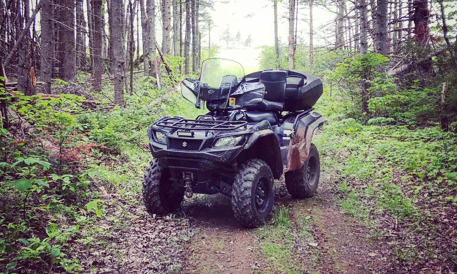 Cash For Quads: Centennial Auto-Sport And Tire Is Buying Used ATVs With Cash Money