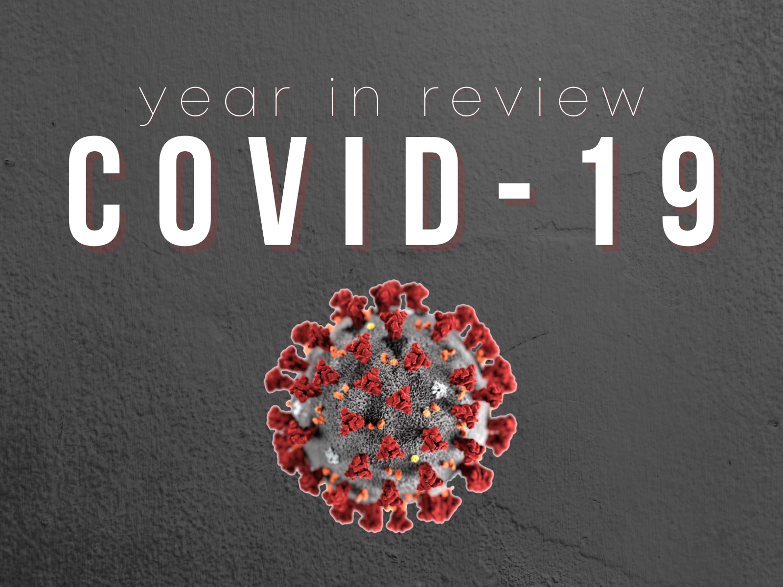 COVID-19: Year In Review