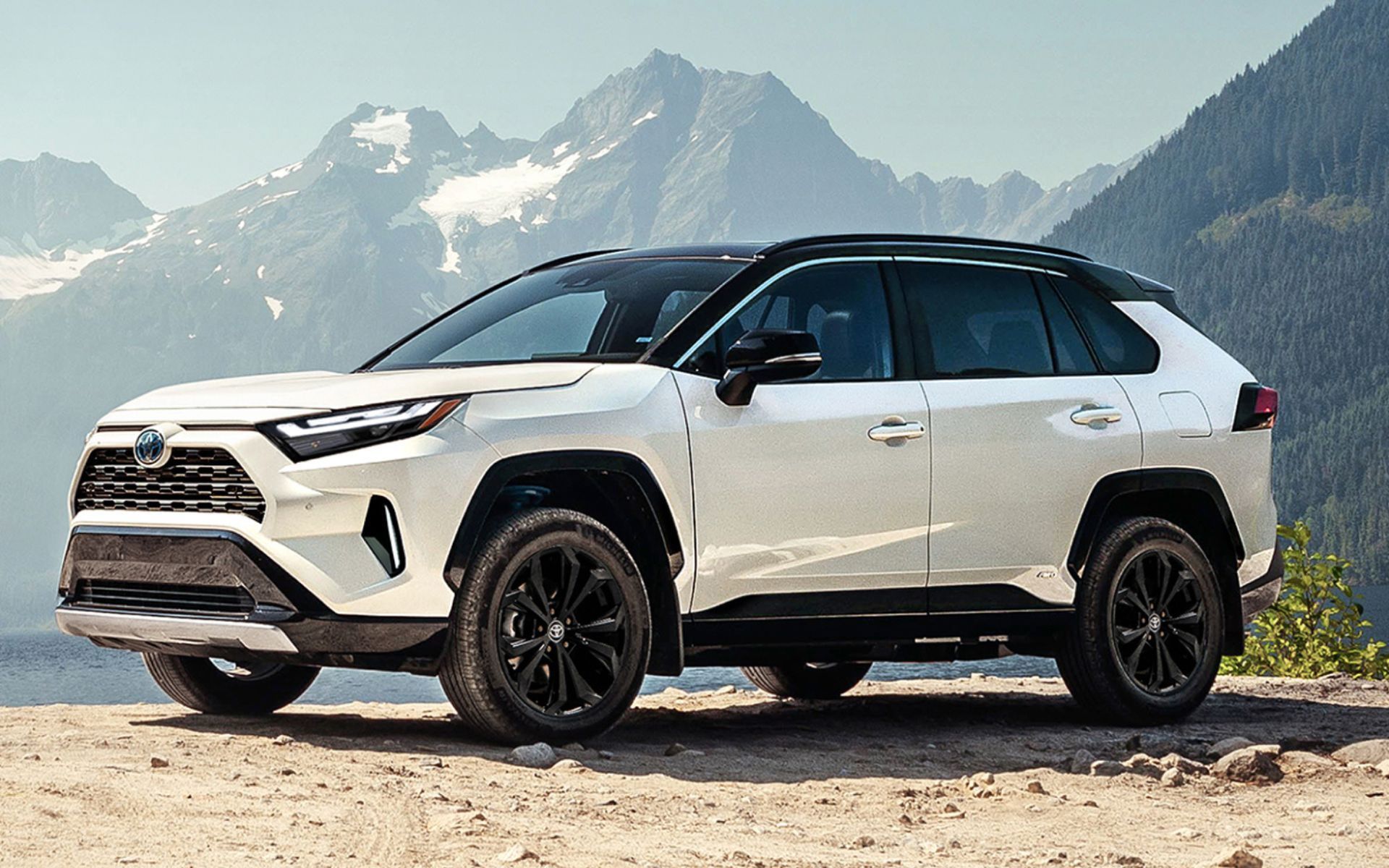 2024 Toyota Rav4 | Bolton Toyota