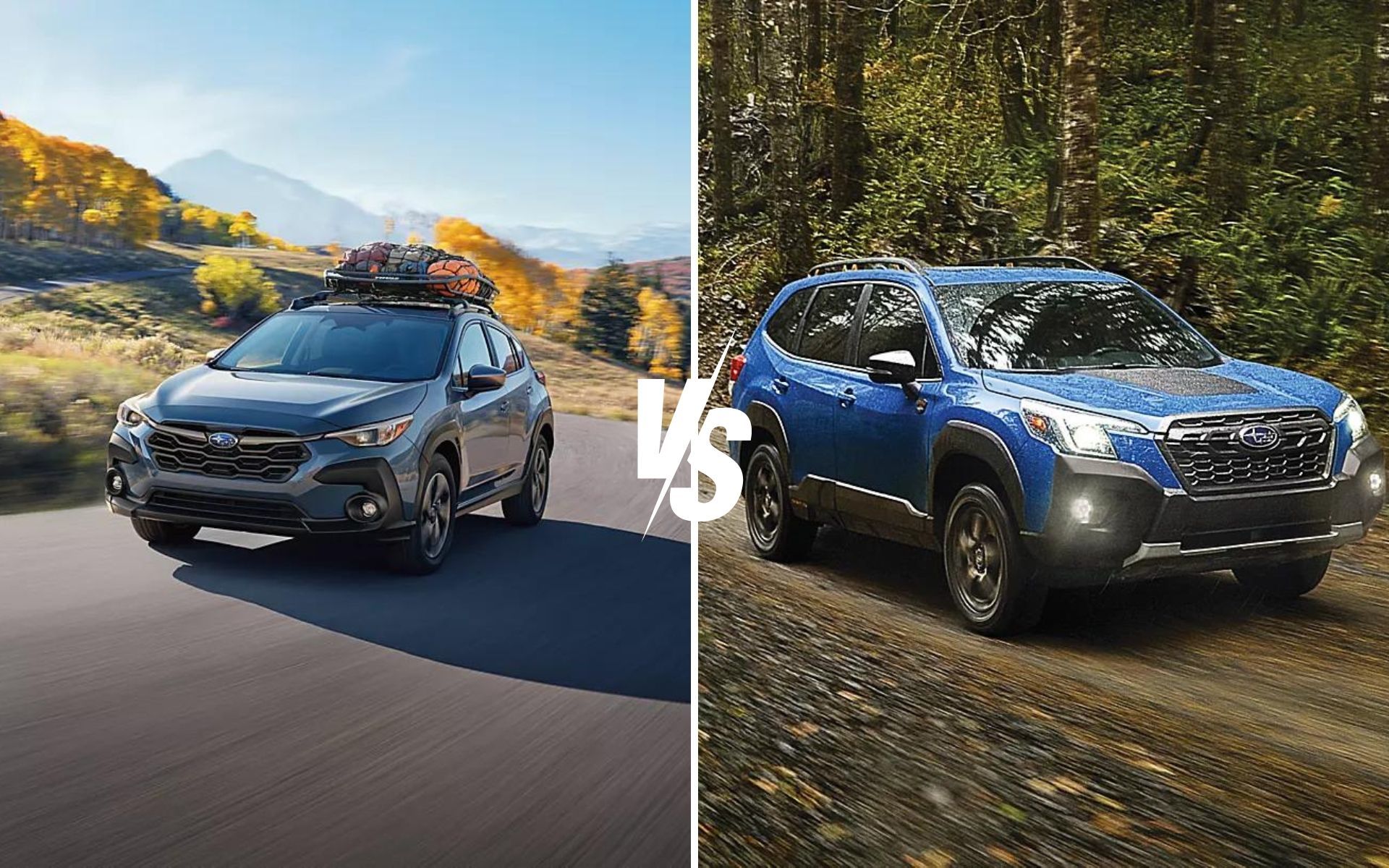 Subaru Crosstrek 2024 ou Forester 2024 ? Laquelle choisir ?