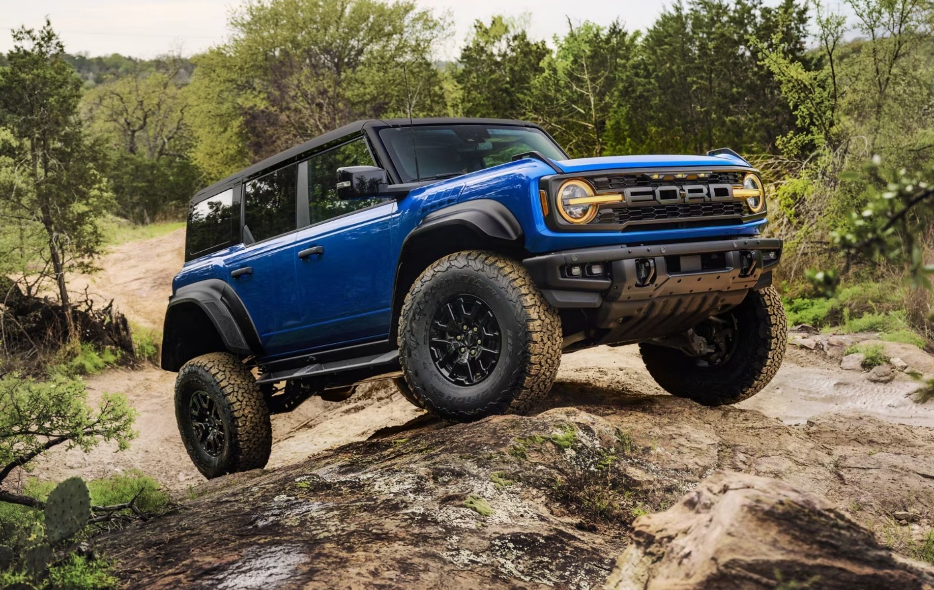 The 2025 Ford Bronco: Built to Go Wild