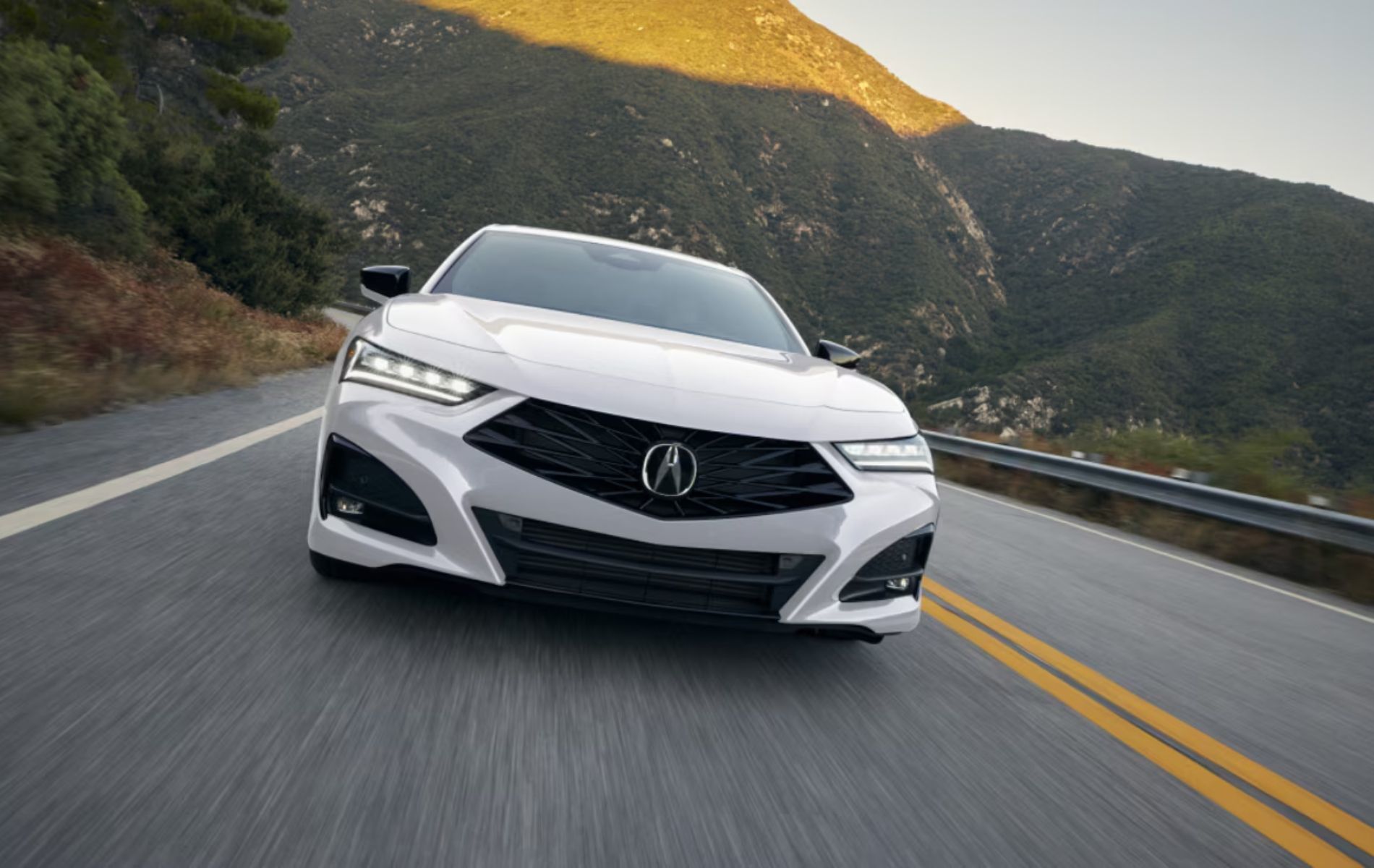 Discover the Power Behind the 2025 Acura TLX!