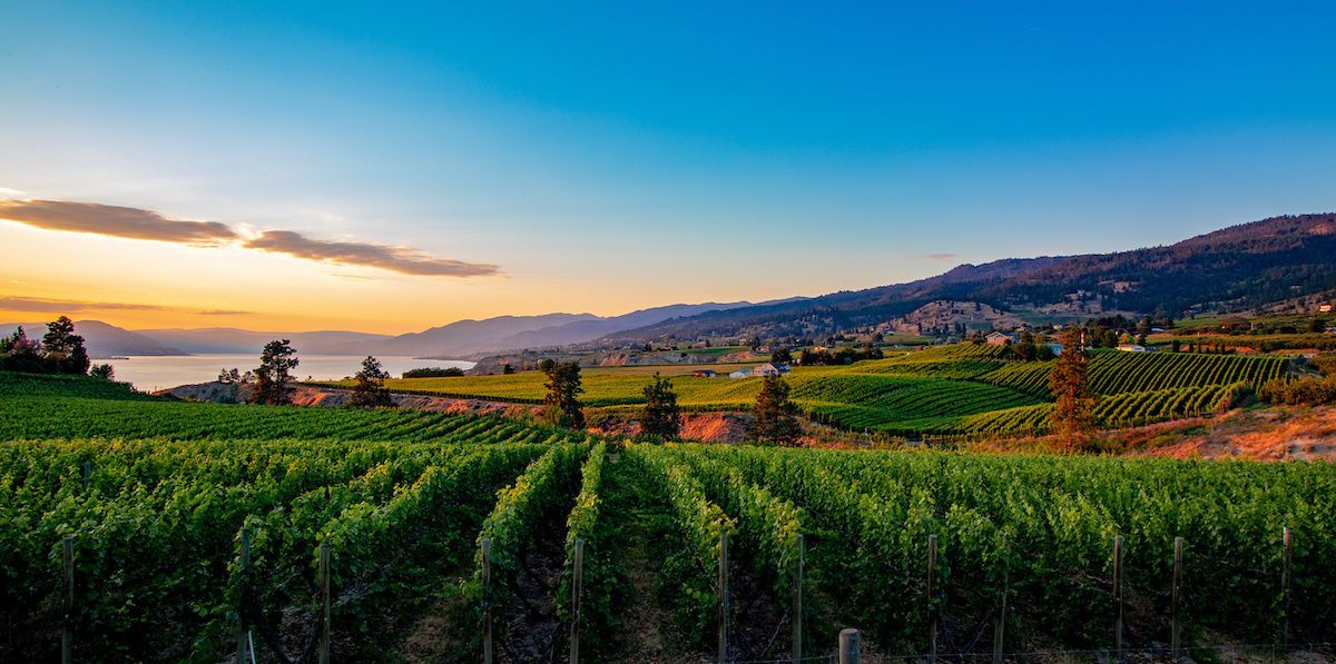 Okanagan Wine Clubs & Subscriptions MercedesBenz Vancouver