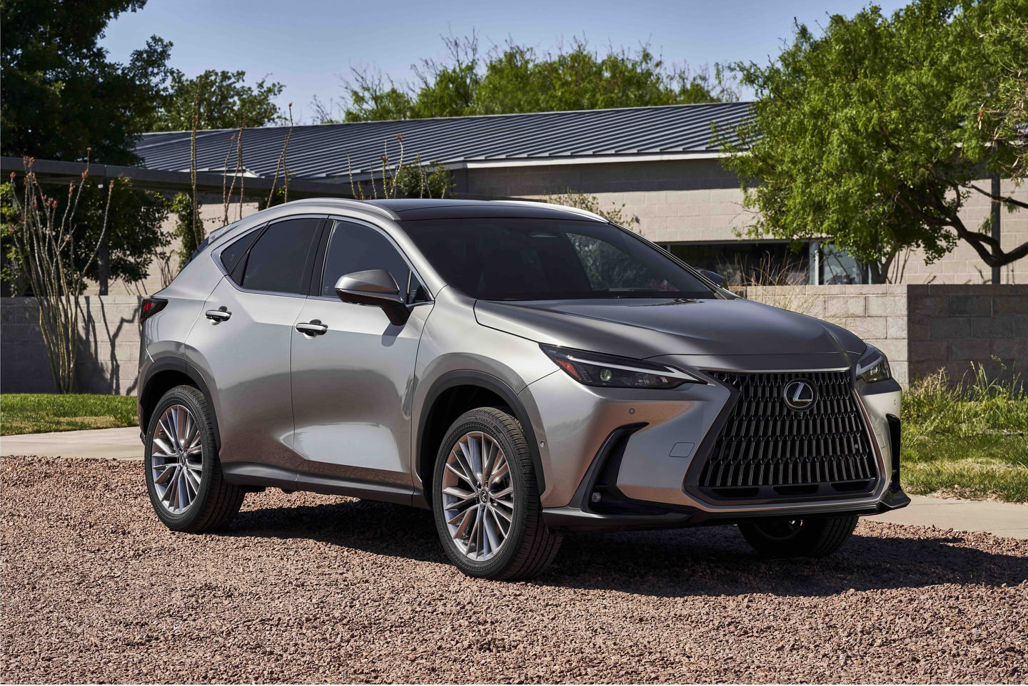 What are the differences between the 2022 Lexus NX 350h and the 2022 Lexus RX 450h