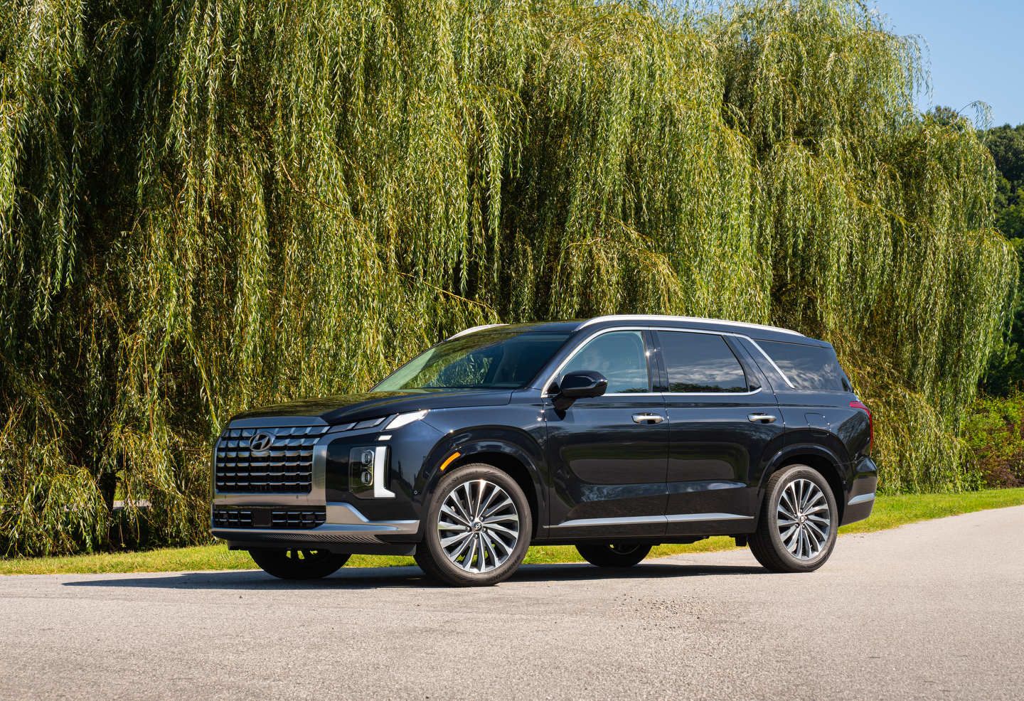 Winnipeg Hyundai The Hyundai Palisade Ultimate Calligraphy: Mastering