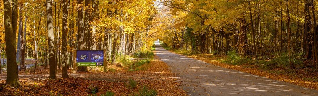 Best Fall Drives In Durham