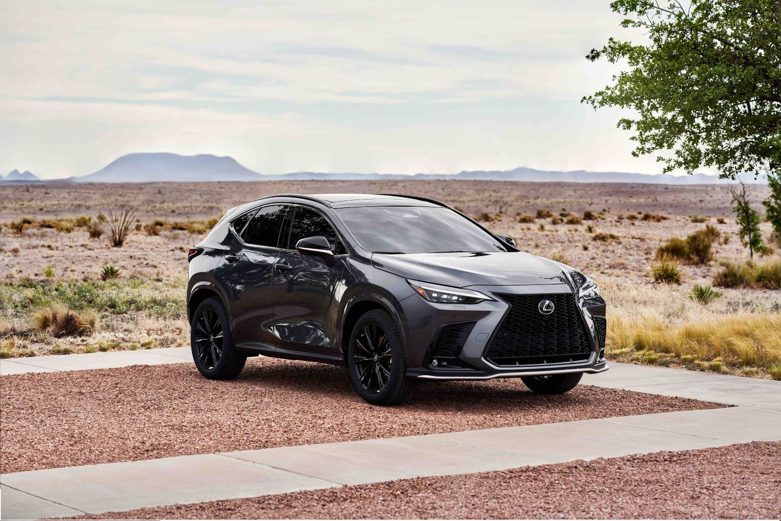 A look at the 2025 Lexus NX