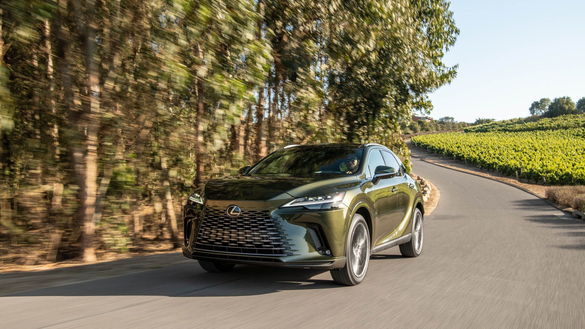 Should You Choose the 2025 Lexus RX 350h or RX 500h?