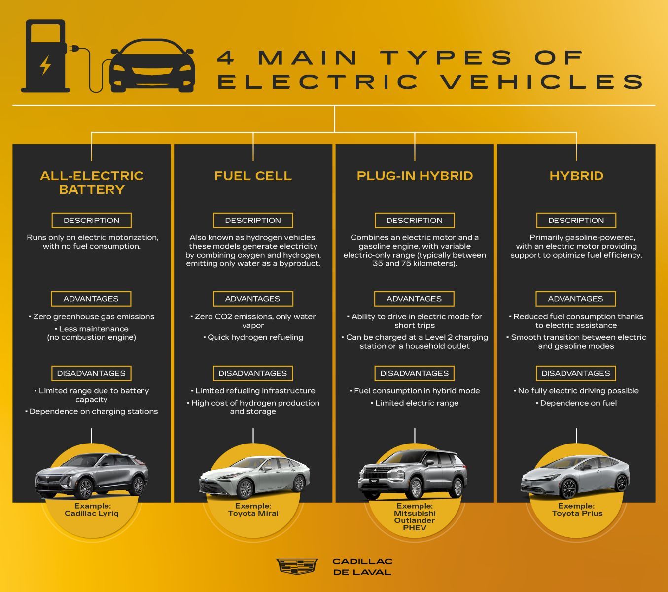 Infographic on the 4 types of electric vehicles.