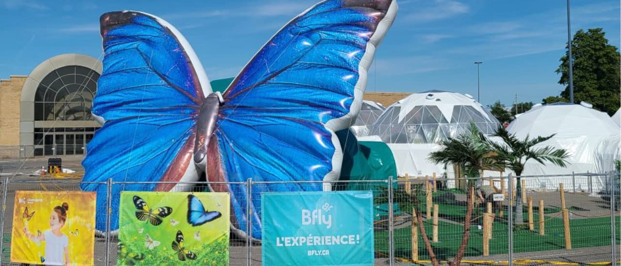 9 activities for you and your baby in Laval Cadillac Laval