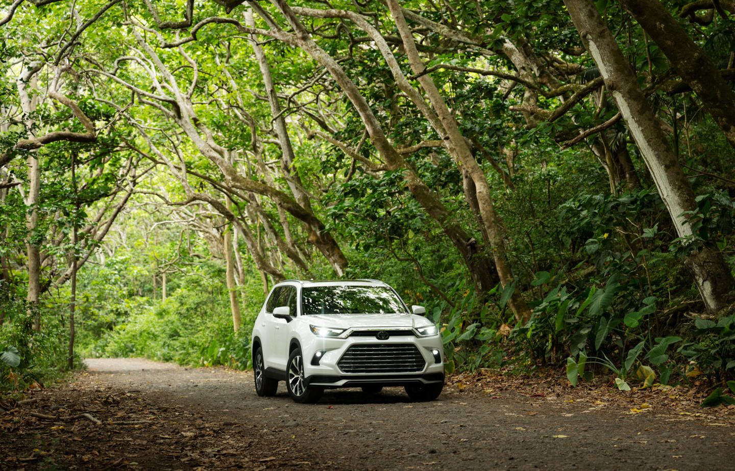 Essence ou hybride : quelle motorisation Toyota consomme le moins?