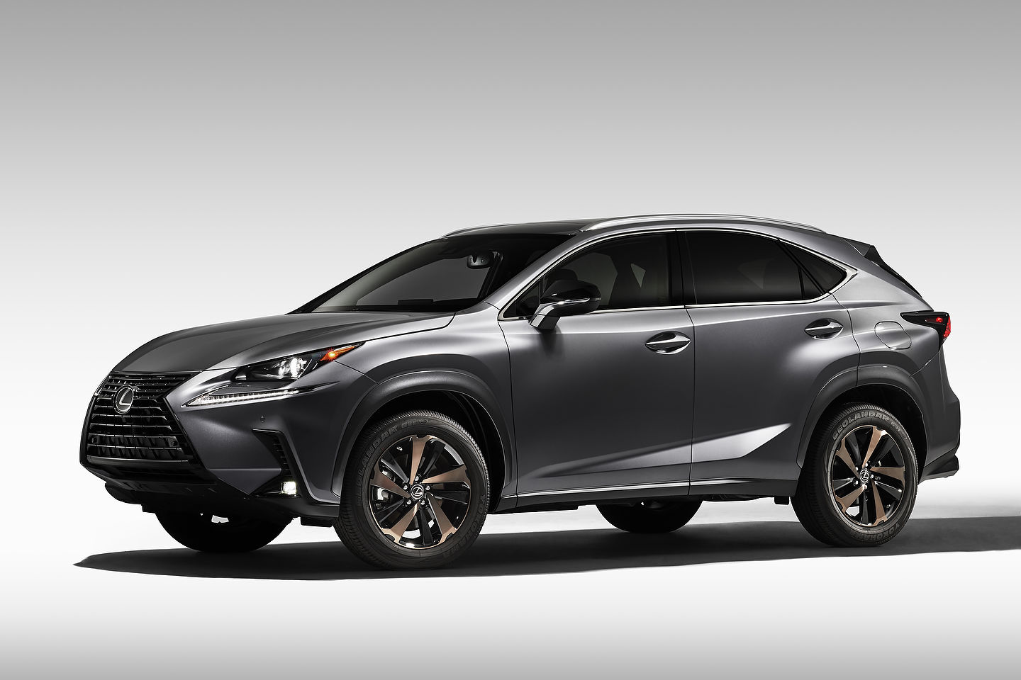 Compact Luxury and Performance in the 2020 Lexus NX