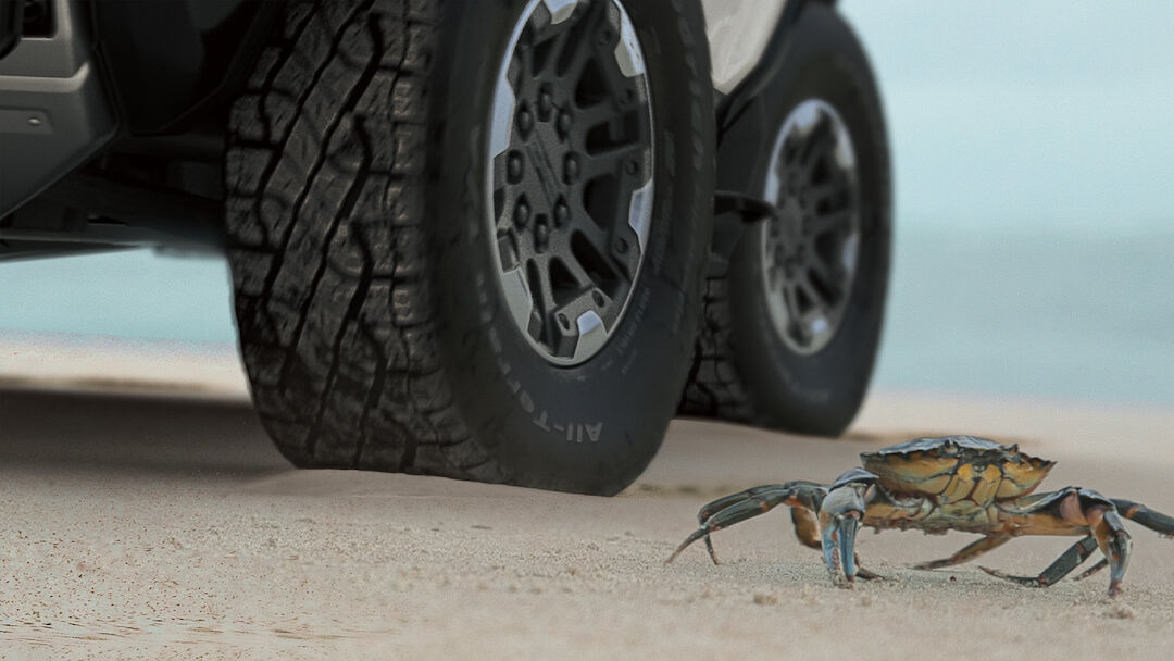 Un crabe à côté des roues du GMC Hummer EV sur la plage