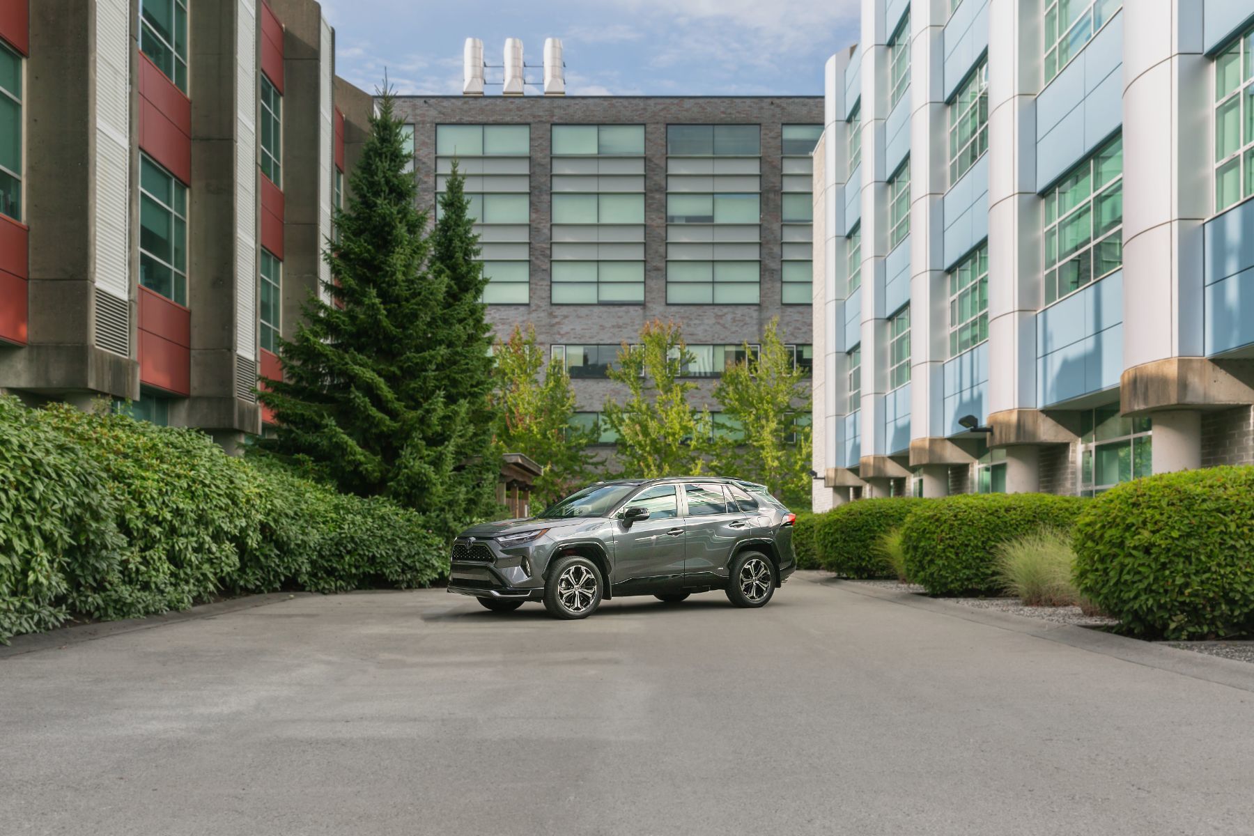 Toyota RAV4 2025: Gasoline or Plug-In Hybrid – Which One Is Right for You?