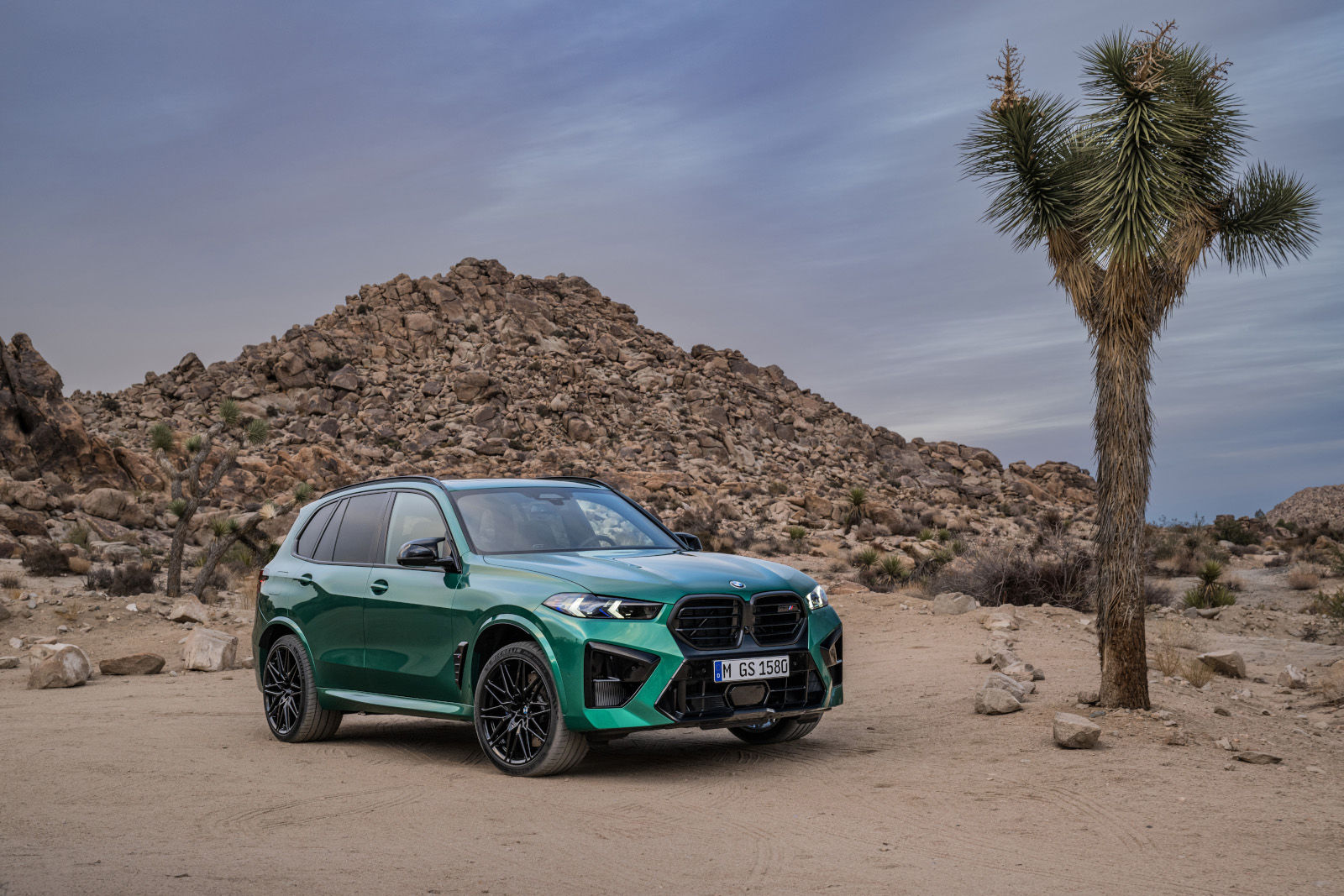 BMW X5 2025 : Des fonctionnalités que vous apprécierez au quotidien