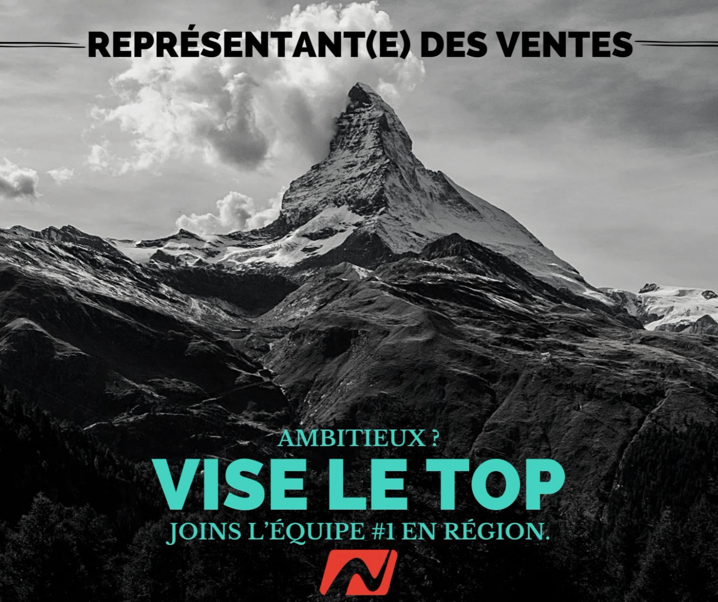 REPRÉSENTANT(E) DES VENTES