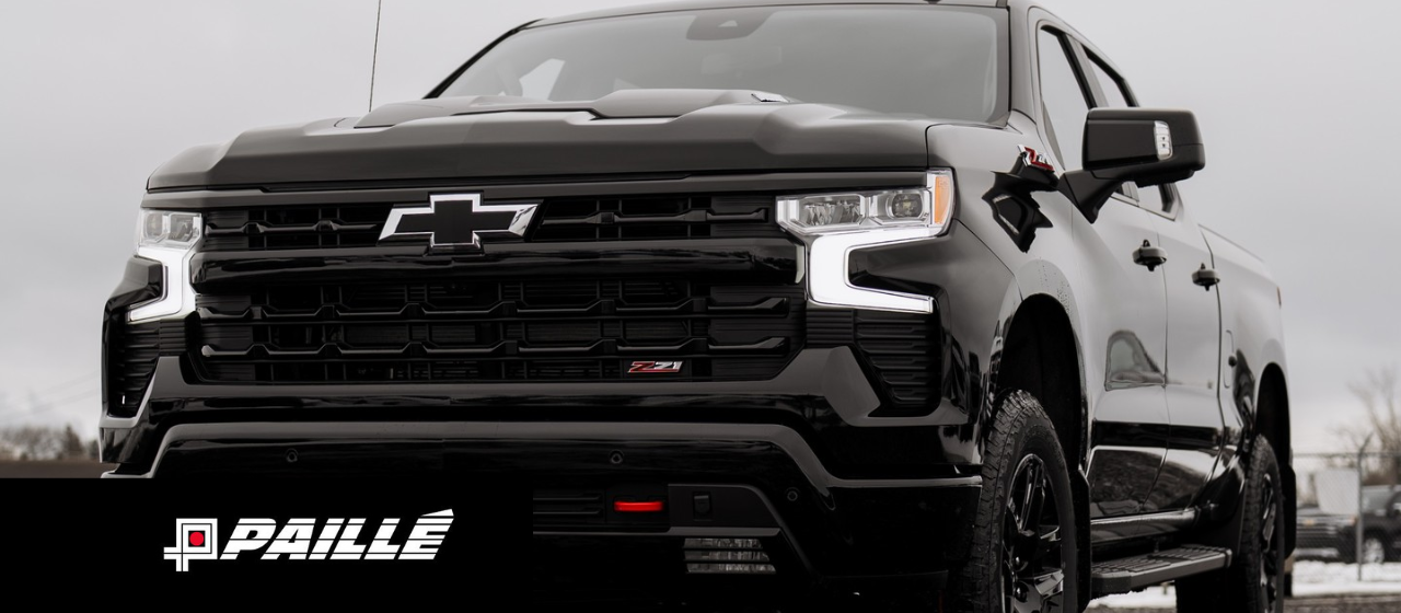 Diesel vs. gas: understand the differences to make the right choice