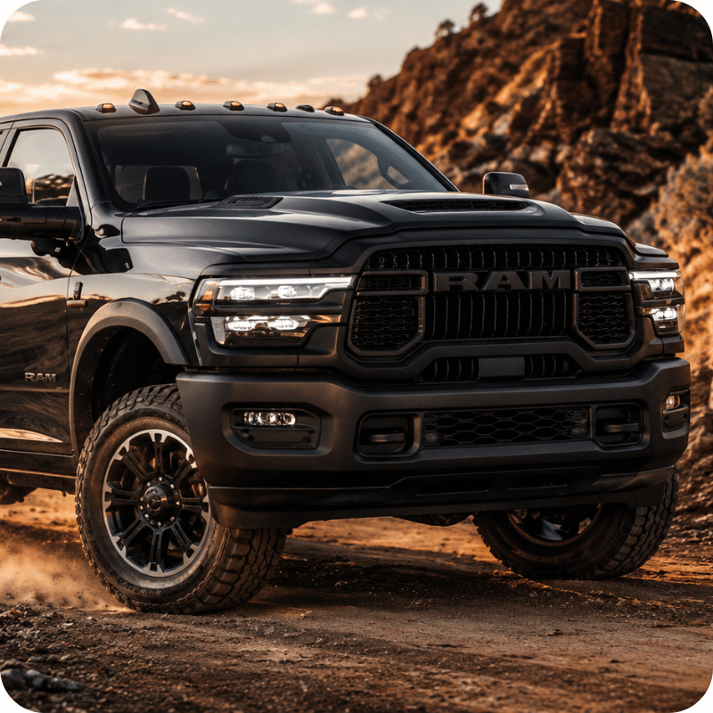 Black Ram on rocky terrain.