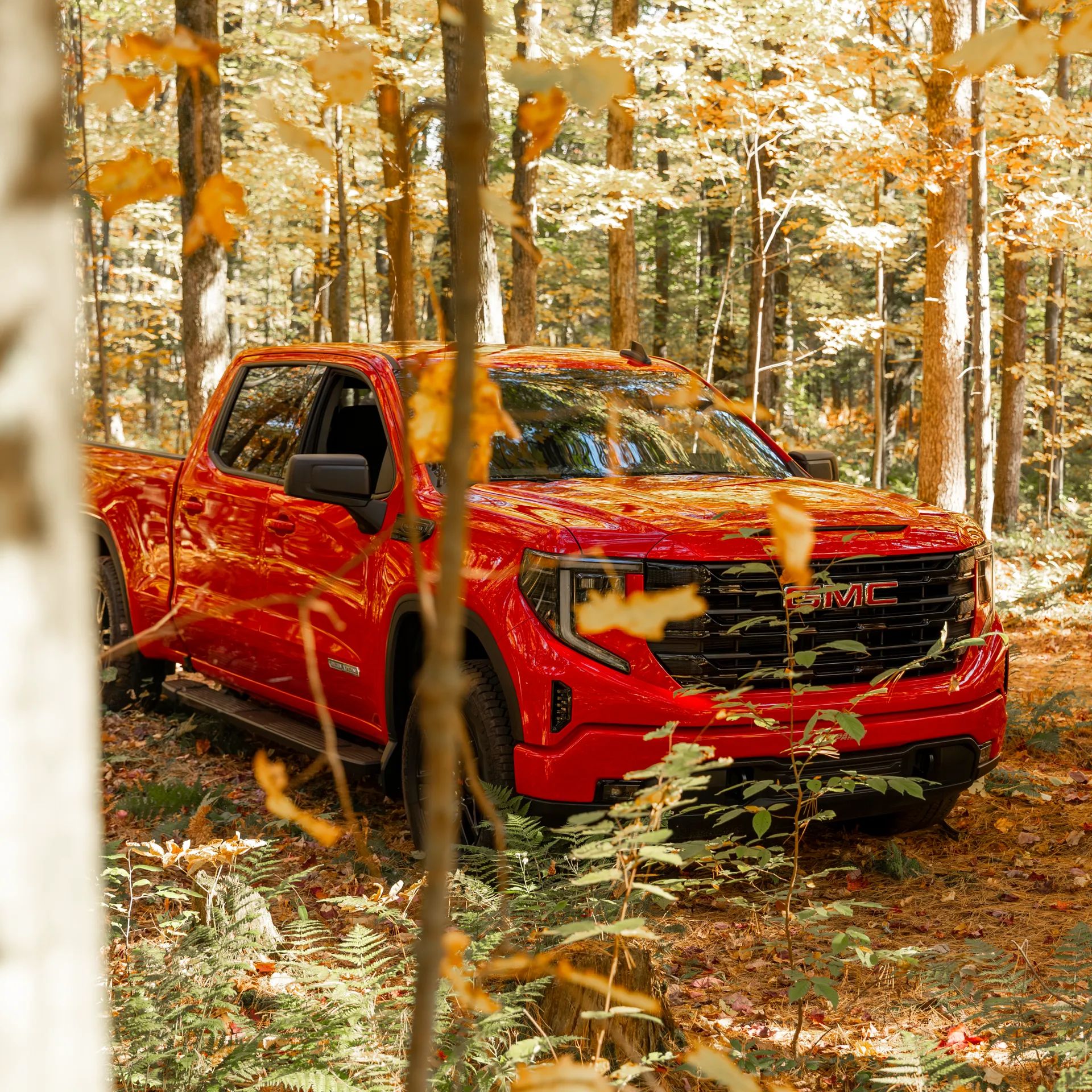GMC Sierra 1500 2027 rouge entre les arbres, feuillage d'automne autour